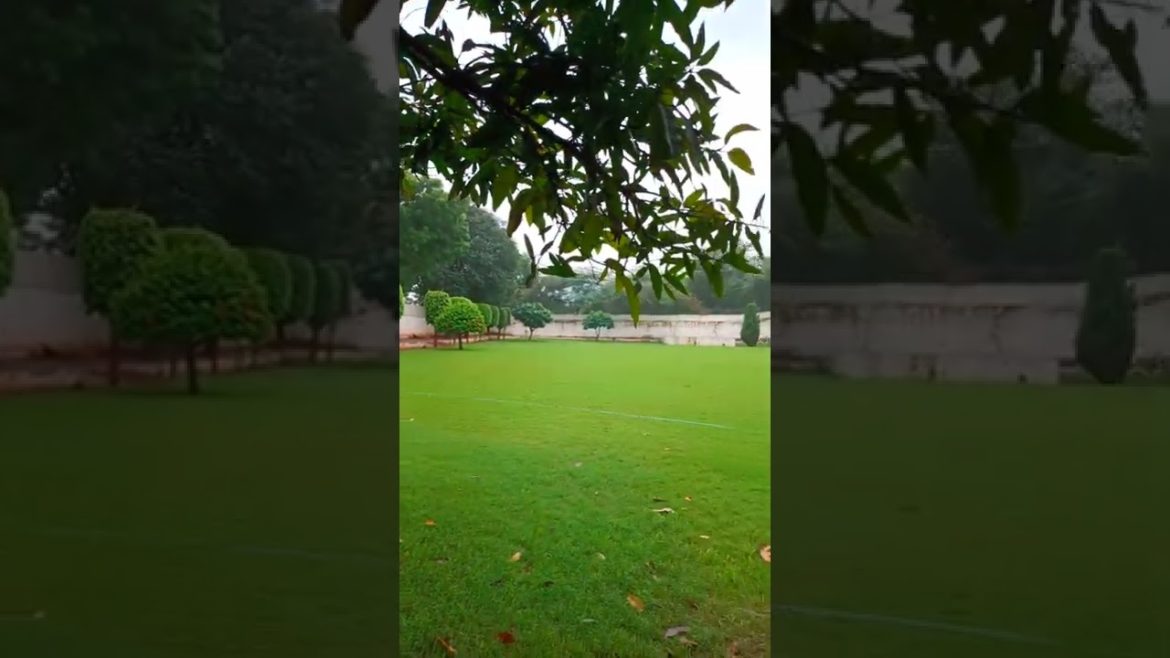 Gardening Ideas For Home #short #shorts #ytshort