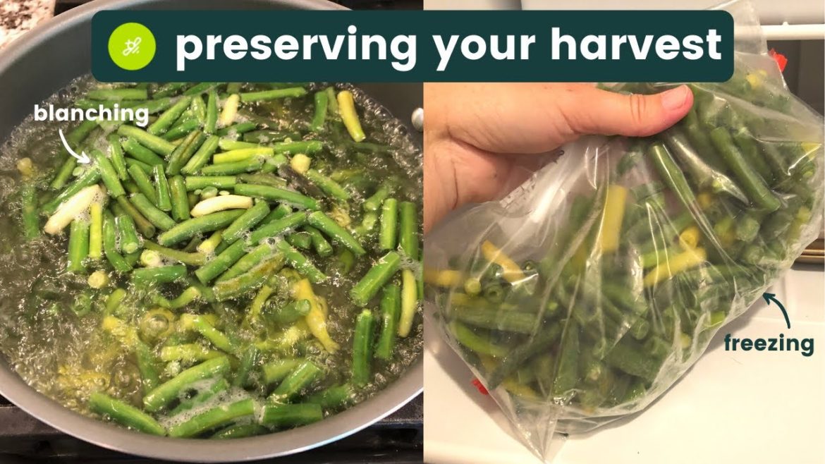 How to Preserve Your Harvest