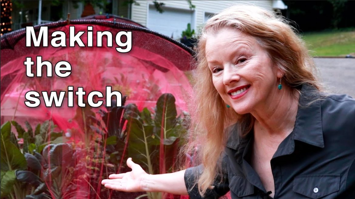 WARM SEASON VEGETABLE GARDENING (and some thoughts on aging) WARM SEASON VEGETABLE GARDENING (and some thoughts on aging)