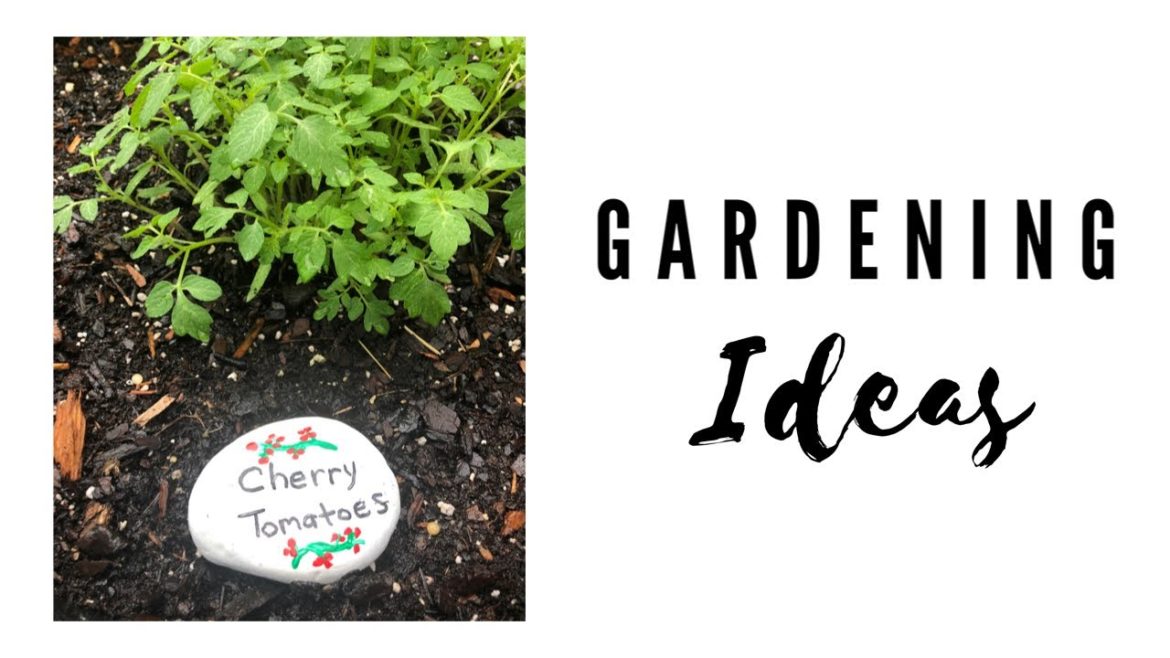 GARDEN TIPS | Grow Your own Vegetable Garden at NO COST