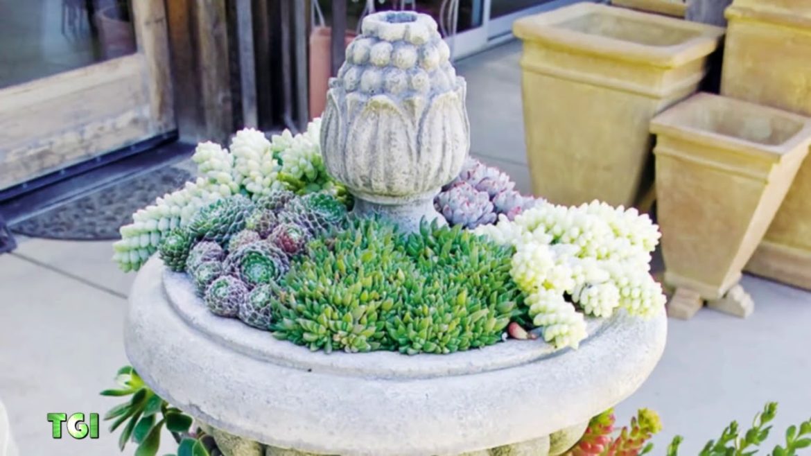 100 Inspirational Backyard Landscaping Ideas 100 Inspirational Backyard Landscaping Ideas
