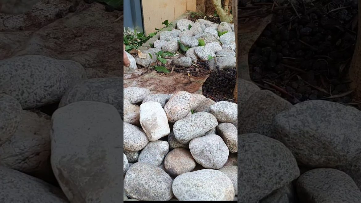 Japanese garden designed by me, subscribe to the channel