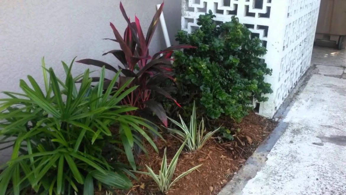 Cape Coral, FL landscape transformation on nice canal home