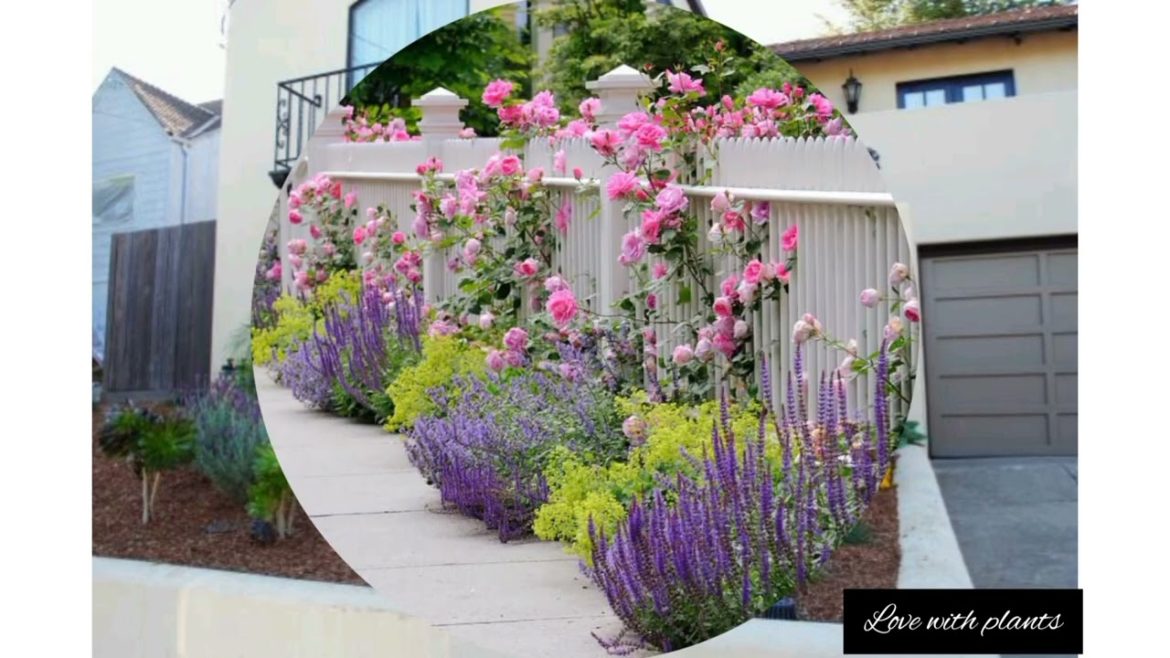 40Beautifull Small  Front Yard Landscaping Ideas/Diy Garden