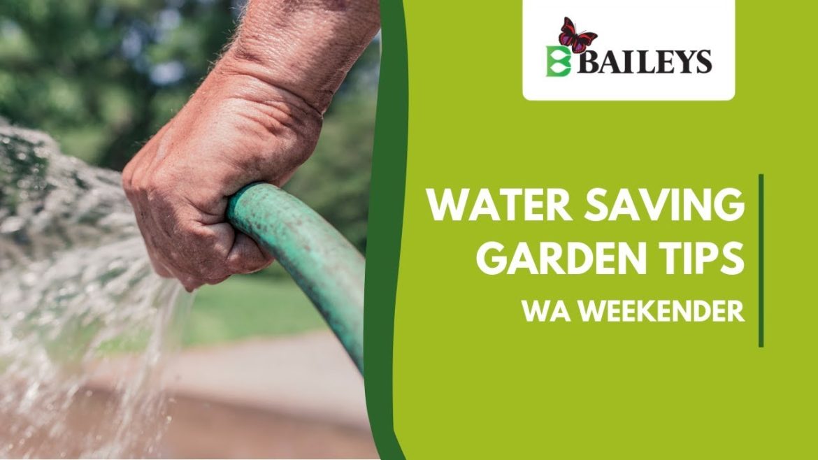 Water Saving Garden Tips | WA Weekender