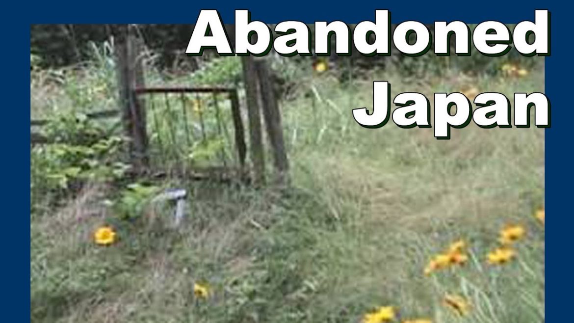 Flowers in an abandoned Japanese garden 放棄された日本の庭の花 – Abandoned Japan 日本の廃墟 Flowers in an abandoned Japanese garden 放棄された日本の庭の花 - Abandoned Japan 日本の廃墟