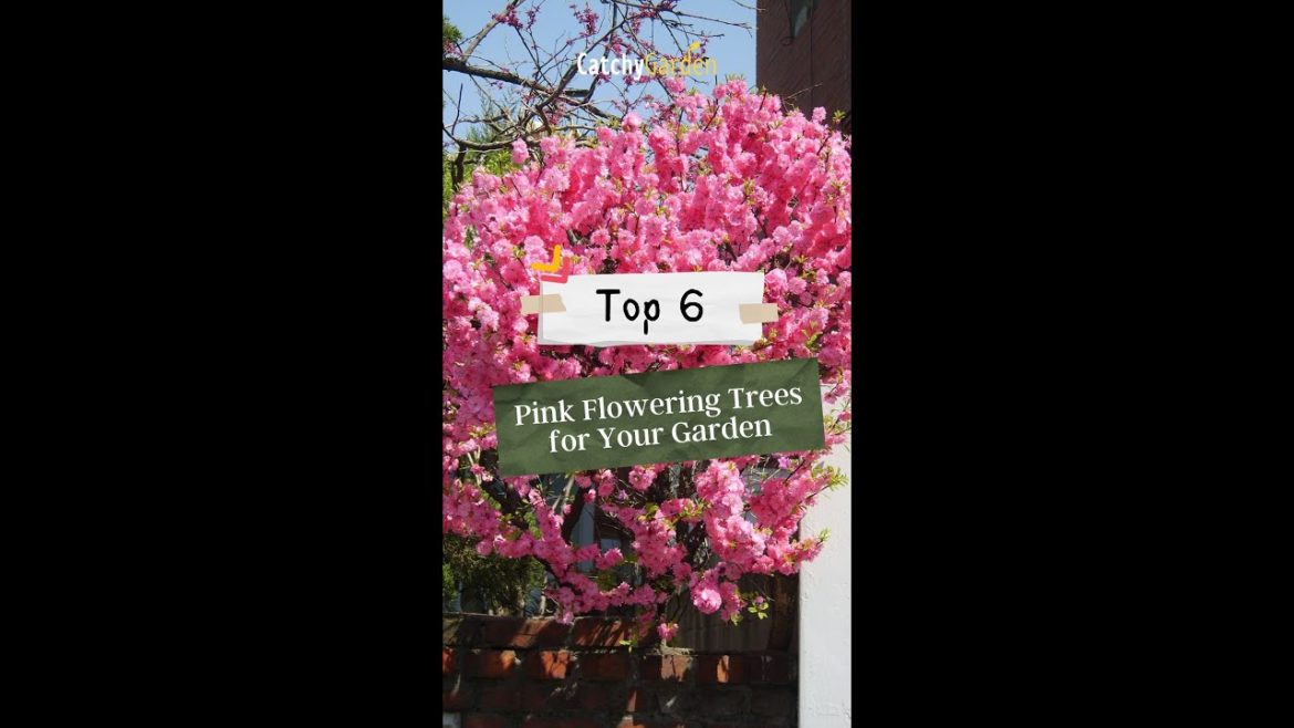 The Top 6 Pink Flowering Trees for Your Garden πΈπ³π· // #short #shorts The Top 6 Pink Flowering Trees for Your Garden πΈπ³π· // #short #shorts