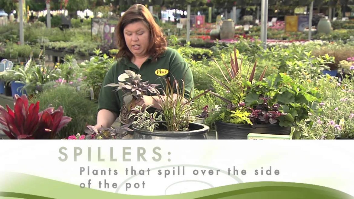 The Basics of Container Gardening