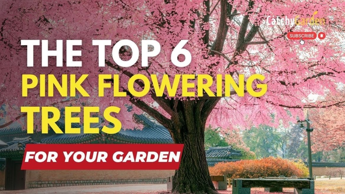 The Top 6 Pink Flowering Trees for Your Garden πΈπ³π· The Top 6 Pink Flowering Trees for Your Garden πΈπ³π·