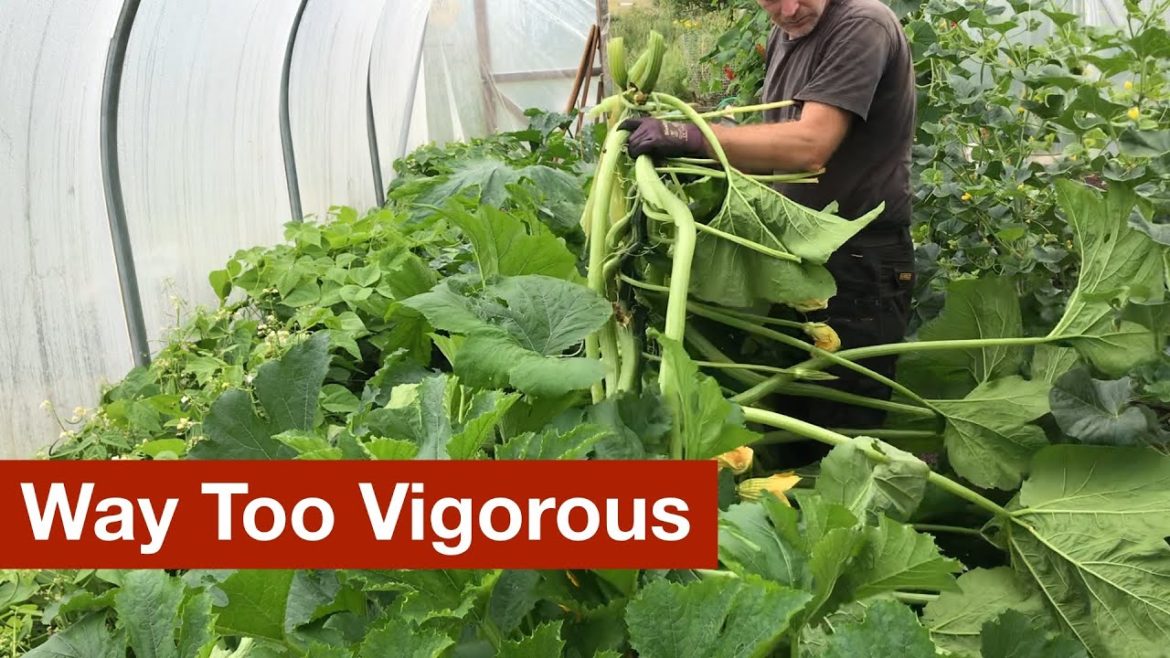 Some Plants Are Way Too Vigorous Some Plants Are Way Too Vigorous