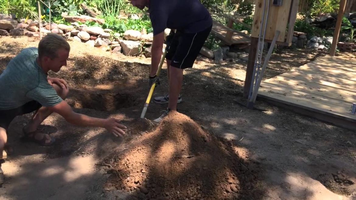 Secret Gardening Technique to Supercharge Fruit Trees