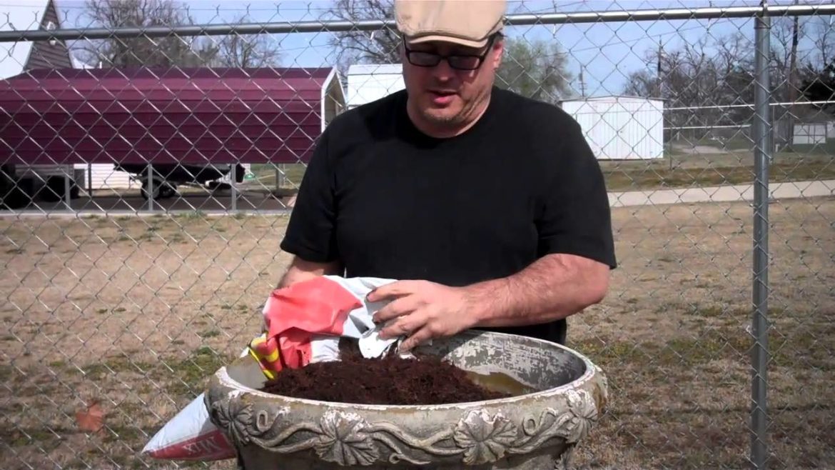 Container gardening & the miracle of plant regeneration