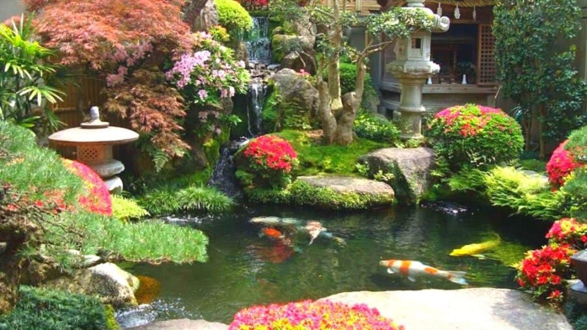Most Beautiful Japanese Koi Pond Garden Design | Outside Jumbo Koi Pond Most Beautiful Japanese Koi Pond Garden Design | Outside Jumbo Koi Pond