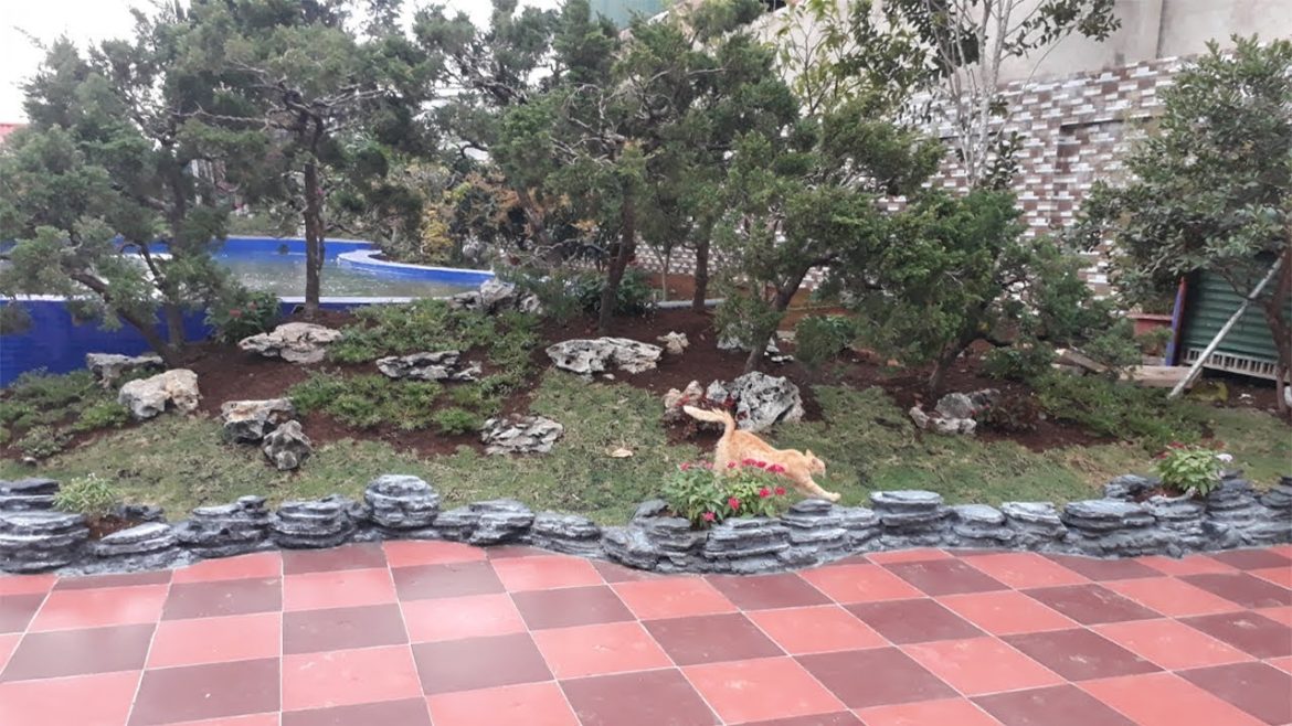 Wonderful Small Front Yard Landscaping Ideas ,Beautiful Front Yard Rock Garden Design Ideas