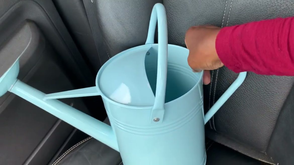 I purchased this from| tractor supply | #shorts #tractorsupply #gardening I purchased this from| tractor supply | #shorts #tractorsupply #gardening