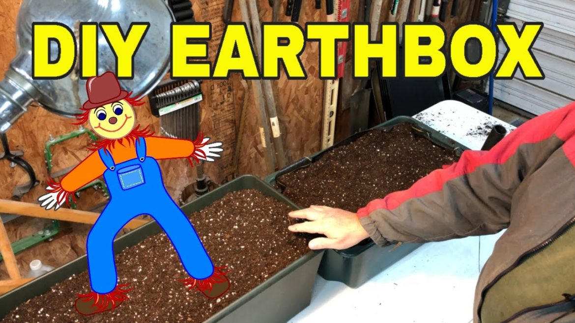 💪MAKE YOUR OWN EARTH BOX ✅ DIY EARTH BOX CLONE 🌱SIMPLE CONTAINER GARDENING 😎 💪MAKE YOUR OWN EARTH BOX ✅ DIY EARTH BOX CLONE 🌱SIMPLE CONTAINER GARDENING 😎