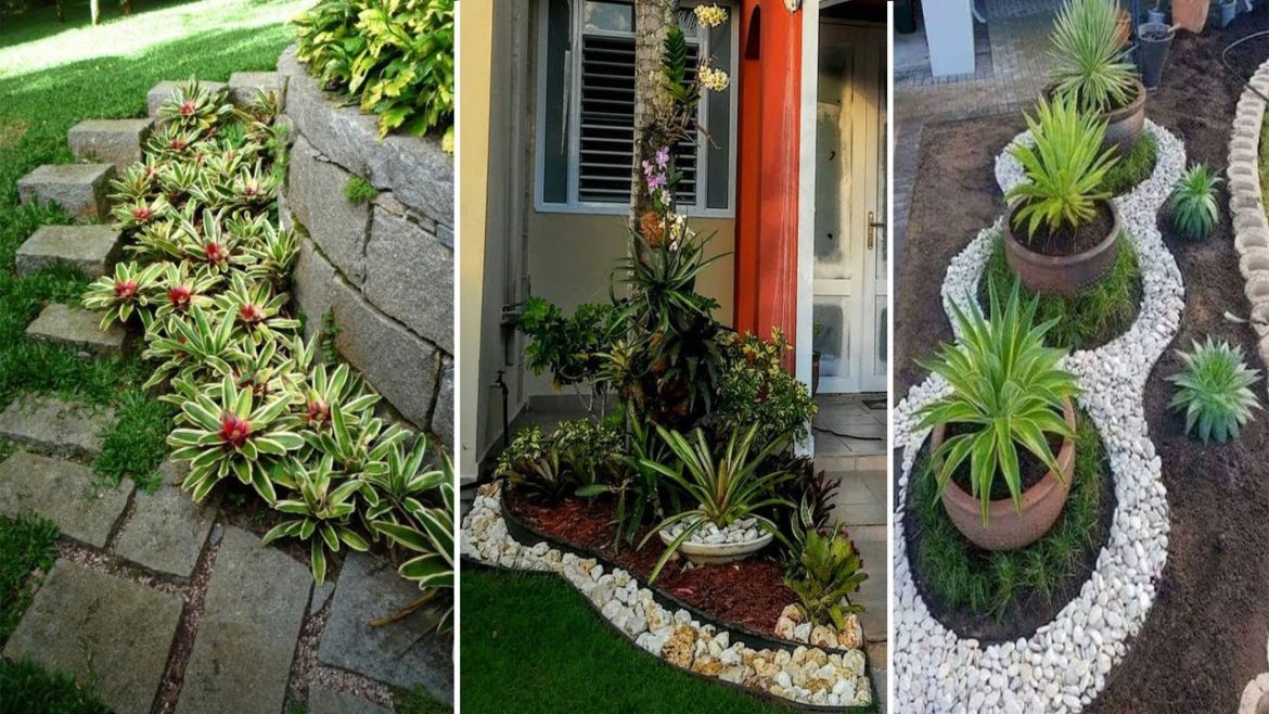 30 Cheap But Amazing Front Yard Landscaping Design Ideas | garden ideas