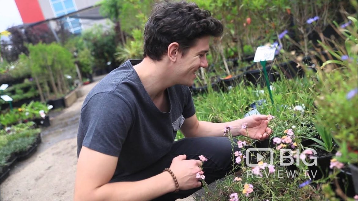 Hello Hello Plants and Garden Supplies in Campbellfield VIC offering Gardeners Supply and Design Hello Hello Plants and Garden Supplies in Campbellfield VIC offering Gardeners Supply and Design