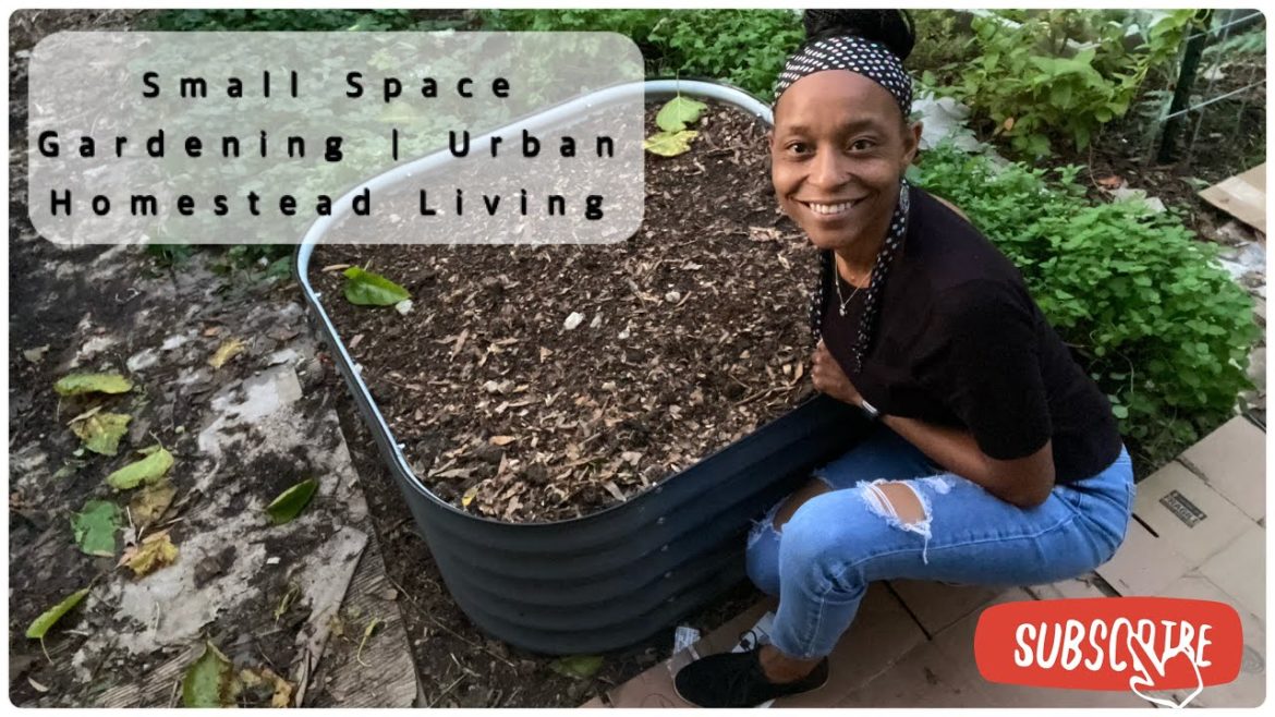Urban Homestead Living | A Family Thing | New Vego Raised Garden Bed