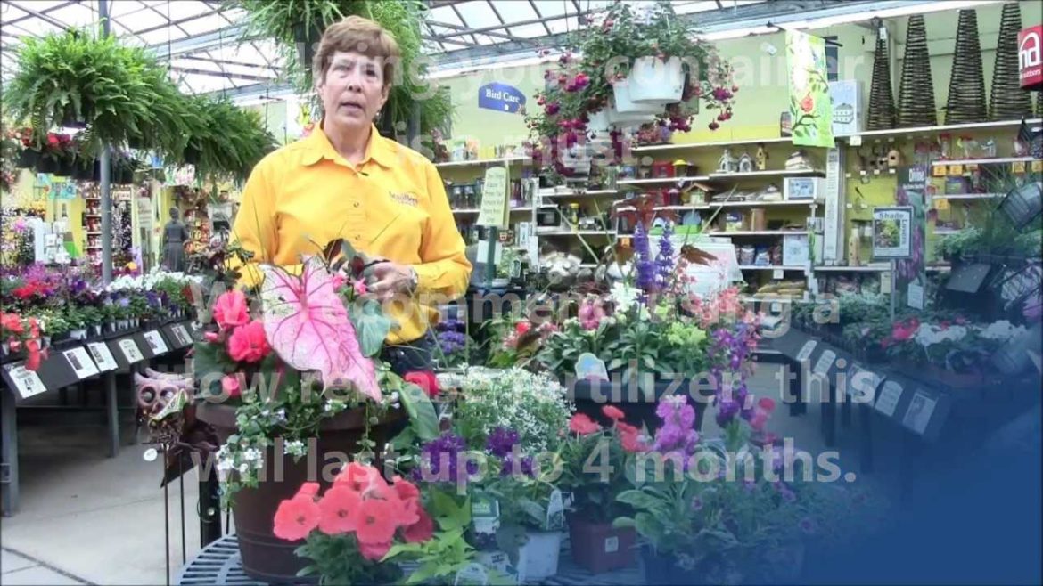 How to Create a Spring Container Garden with Stauffers