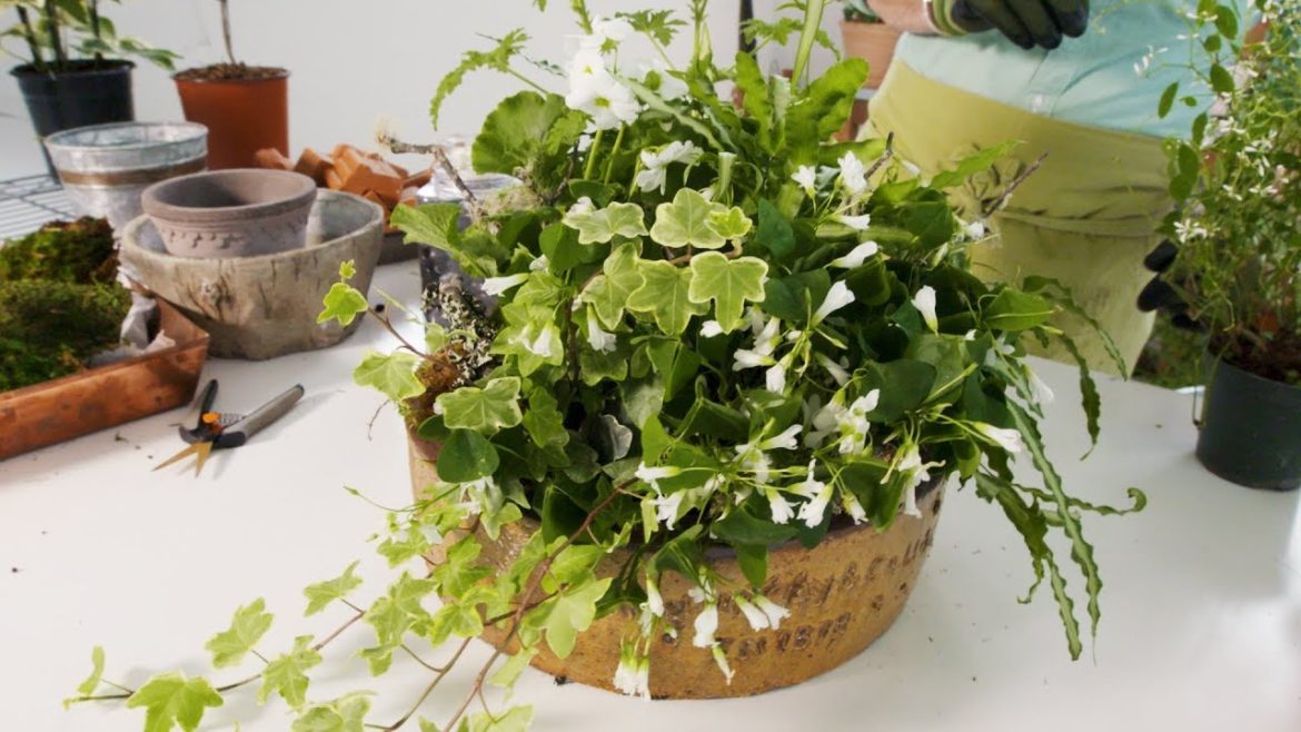 How To Make A Container Garden