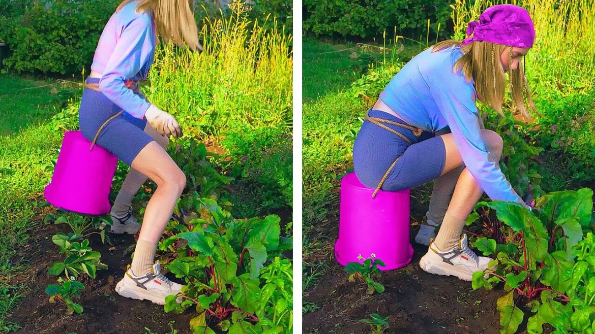 Smart Planting Hacks To Make Gardening More Enjoyable 🍀 || GARDENING TIPS AND TRICKS 🌳