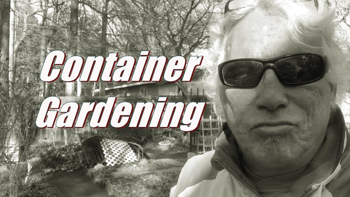 Advantages of Container Gardening With Vegetables