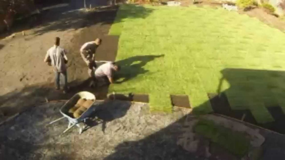 Backyard Landscaping multi day time lapse Backyard Landscaping multi day time lapse
