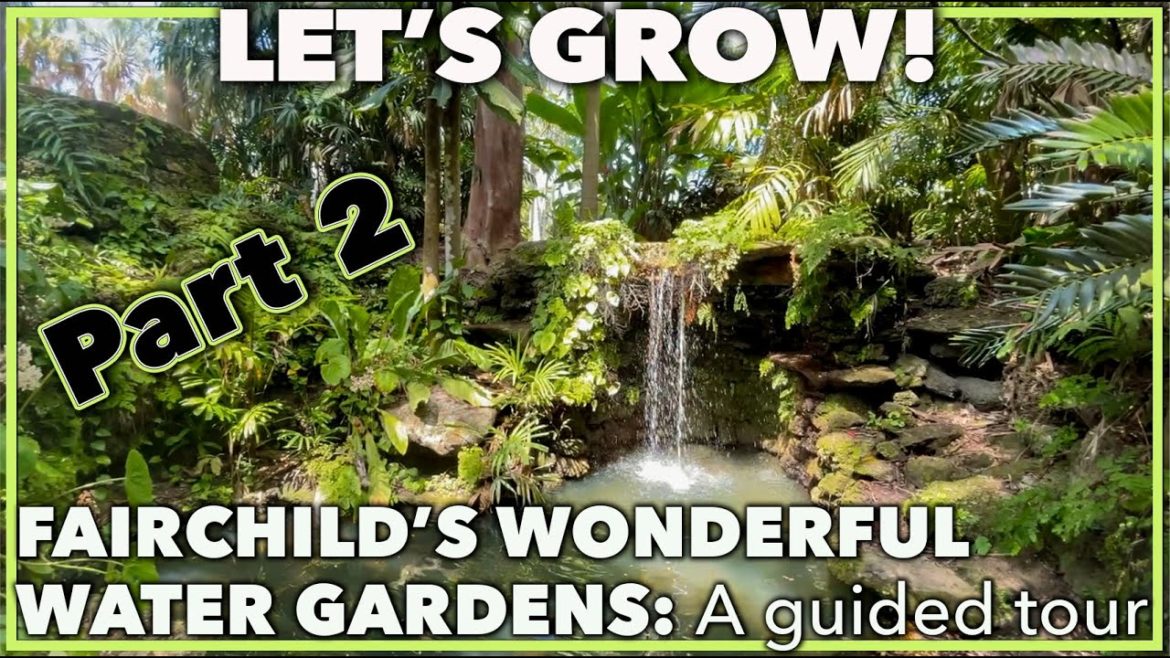 FAIRCHILD TROPICAL BOTANIC GARDEN'S WONDERFUL WATER FEATURES: Gardening ideas Part 2