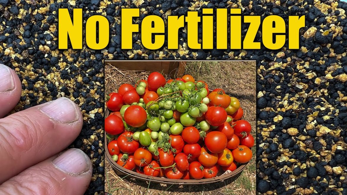 No Fertilizer Farming - Natural Organic Vegetable Gardening