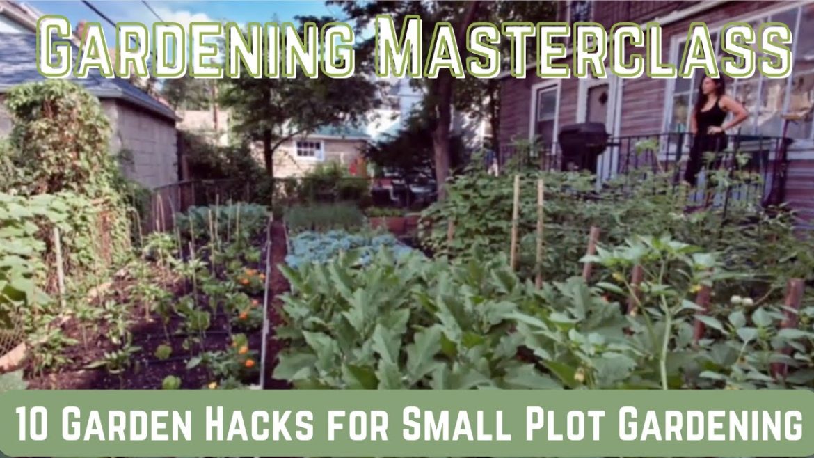 Masterclass: 10 Garden Hacks for Small Plot Gardening Masterclass: 10 Garden Hacks for Small Plot Gardening
