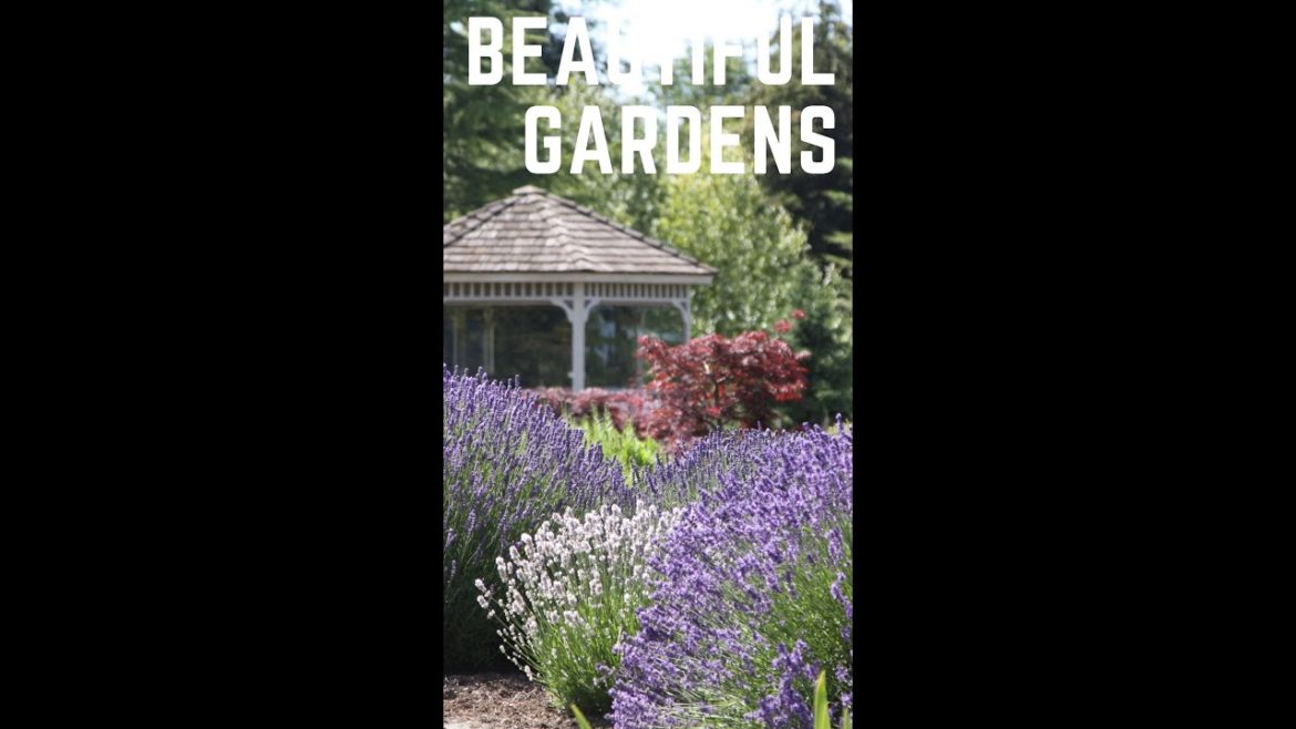 Beautiful Gardens/ Landscape Design Ideas Renovation & Backyard Makeover #Shorts #YoutubeShorts Beautiful Gardens/ Landscape Design Ideas Renovation & Backyard Makeover #Shorts #YoutubeShorts