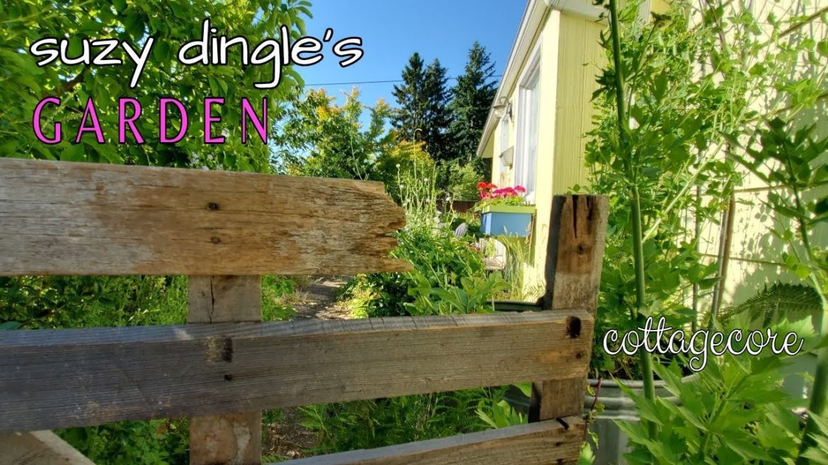 Cottagecore Edible Garden Tour (Lovage and BLUE Flowering Radicchio) Cottagecore Edible Garden Tour (Lovage and BLUE Flowering Radicchio)