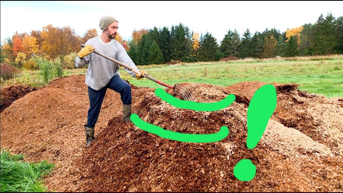 Swale your mulch! (let me explain)