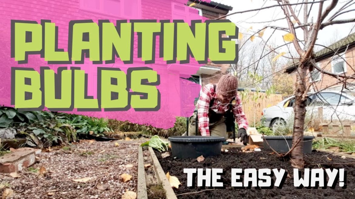 Planting Bulbs - Gardening ideas - Vegetable Gardening