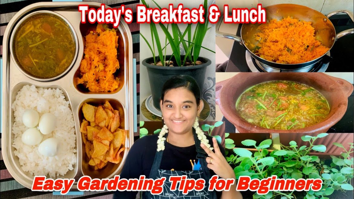 Today’s Breakfast & Lunch /A.M Routine/DIML/Lunchbox Preparations /Gardening Tips@Tamilan Lifestyle