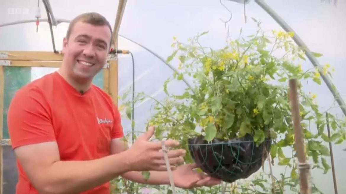 The Beechgrove Garden  – Season 44 Episode 21 The Beechgrove Garden  - Season 44 Episode 21