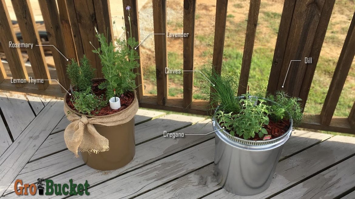 GroBucket Self-Watering Container Garden