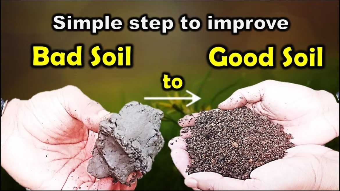 Improving clay soil into best potting mix and potting soil for gardening