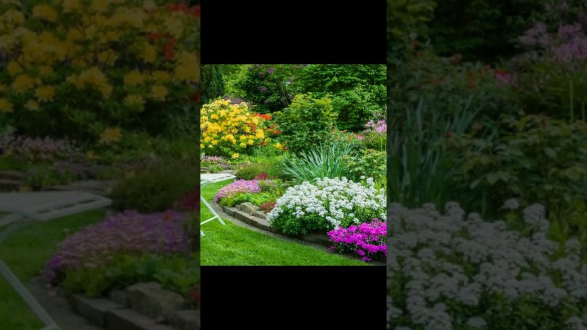 Landscape Desing ideas Best ideas for  garden and landscape #230 #shorts 58