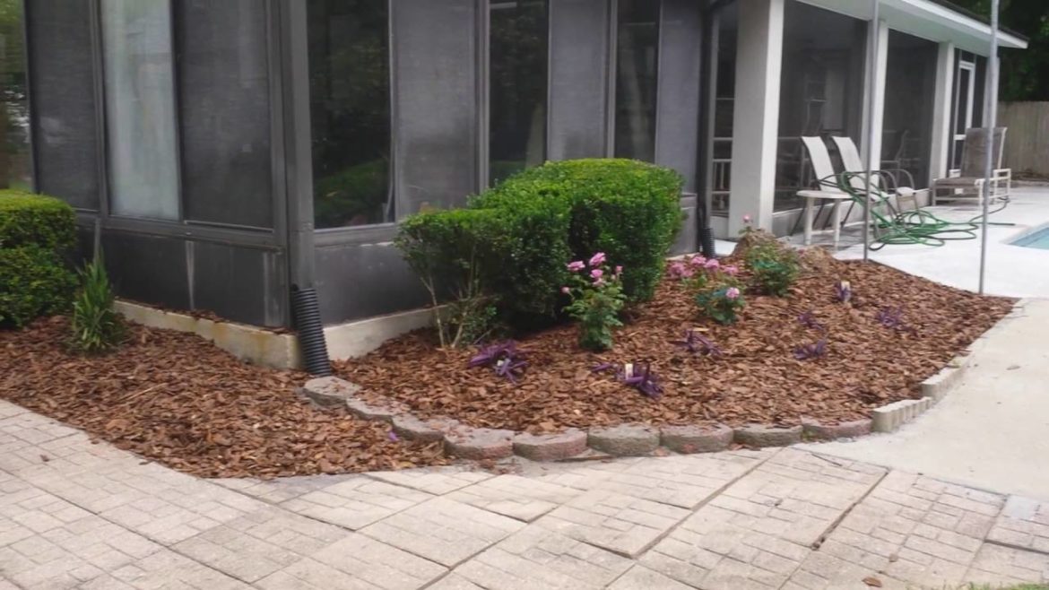 South Jax Beach Backyard Landscape Renovation - AFTER