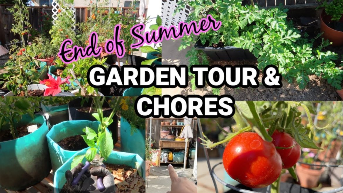 GARDEN TOUR | END OF SUMMER | CONTAINER GARDEN
