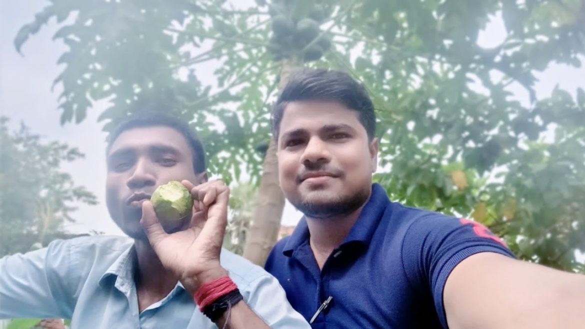 The Most Beautiful Gardens In This My Area || @Crazy XYZ The Most Beautiful Gardens In This My Area || @Crazy XYZ