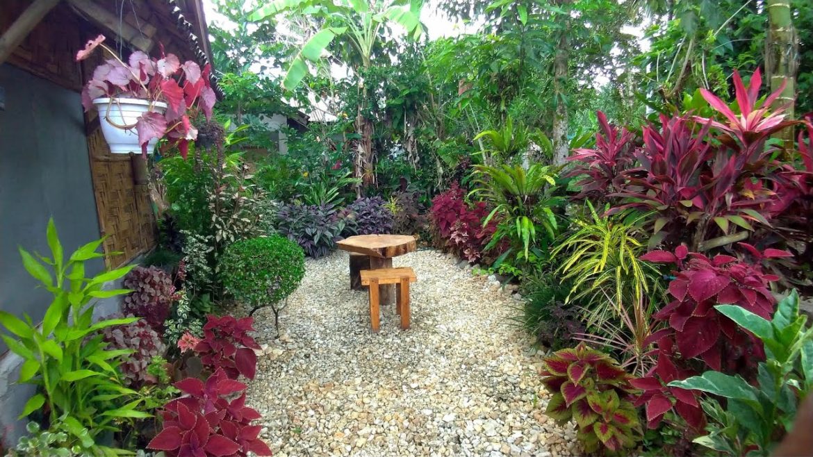 AMAZING FRONT YARD GARDEN WITH PERSONALIZED COFFEE TABLE