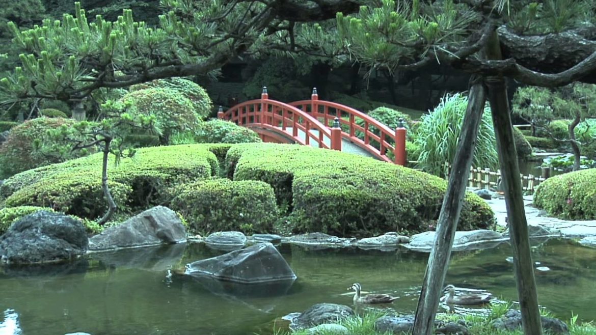 Japanese Garden in Tokyo, Japan with waterfalls, bridge, miniature landscapes and bonsai trees