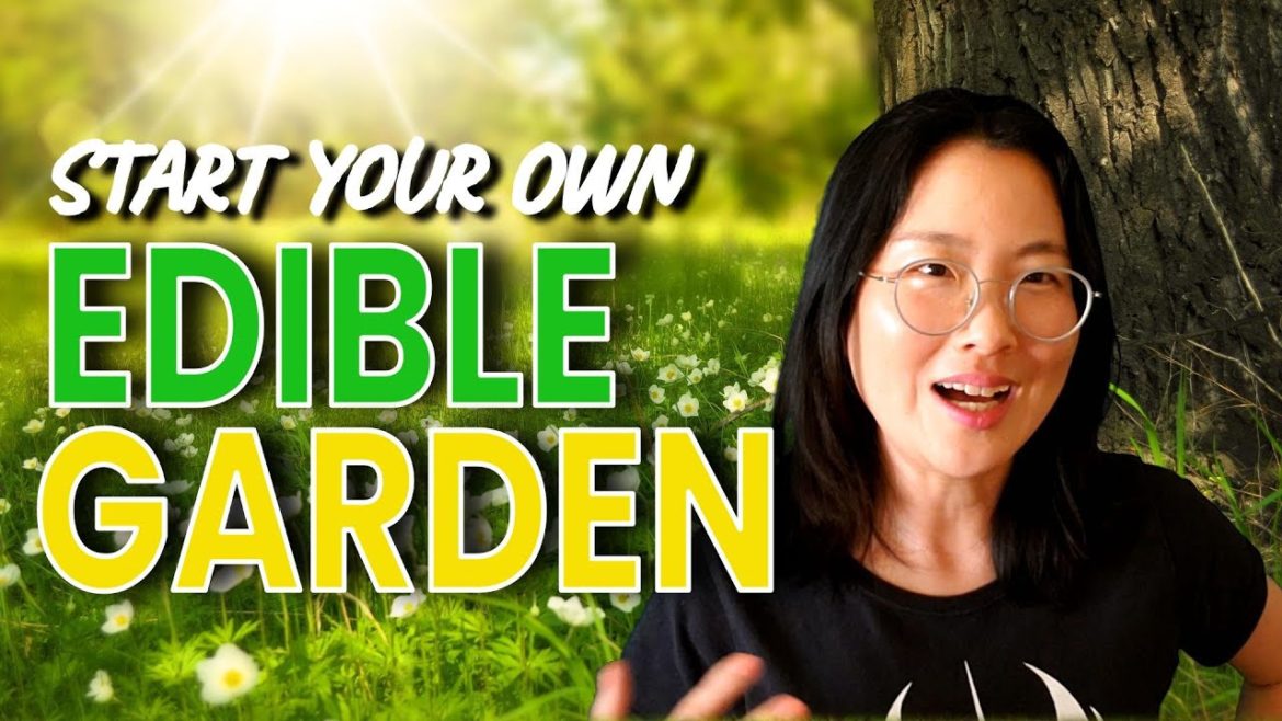 My Edible Garden As a Beginner | How to Start a Water-Saving Vegetable Garden in a Small Space My Edible Garden As a Beginner | How to Start a Water-Saving Vegetable Garden in a Small Space
