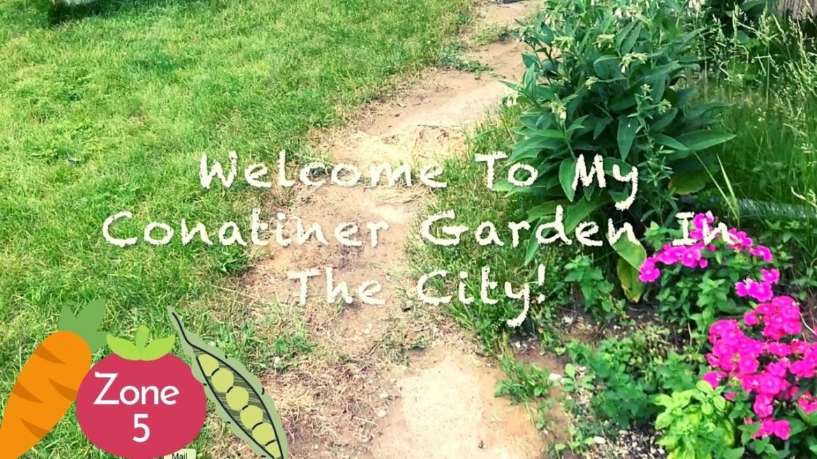 Veggie Container Garden Tour : Zone 5 (End Of June) Veggie Container Garden Tour : Zone 5 (End Of June)