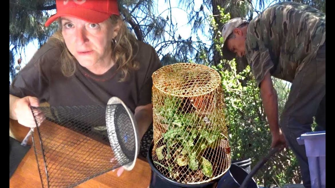 Container Gardening Safe Pest Control Protect Seedlings, Young Plants and Herbs