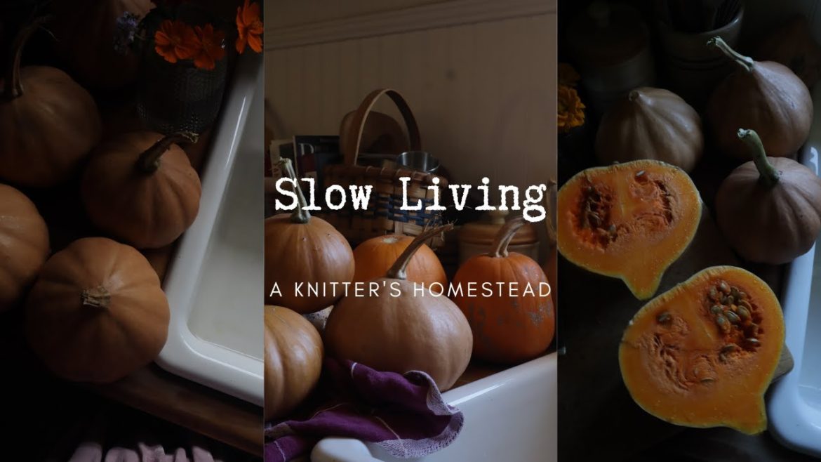 Slow Living On A Knitter's Homestead I Pumpkins from The October Garden and Sweater Knitting #yarn Slow Living On A Knitter's Homestead I Pumpkins from The October Garden and Sweater Knitting #yarn