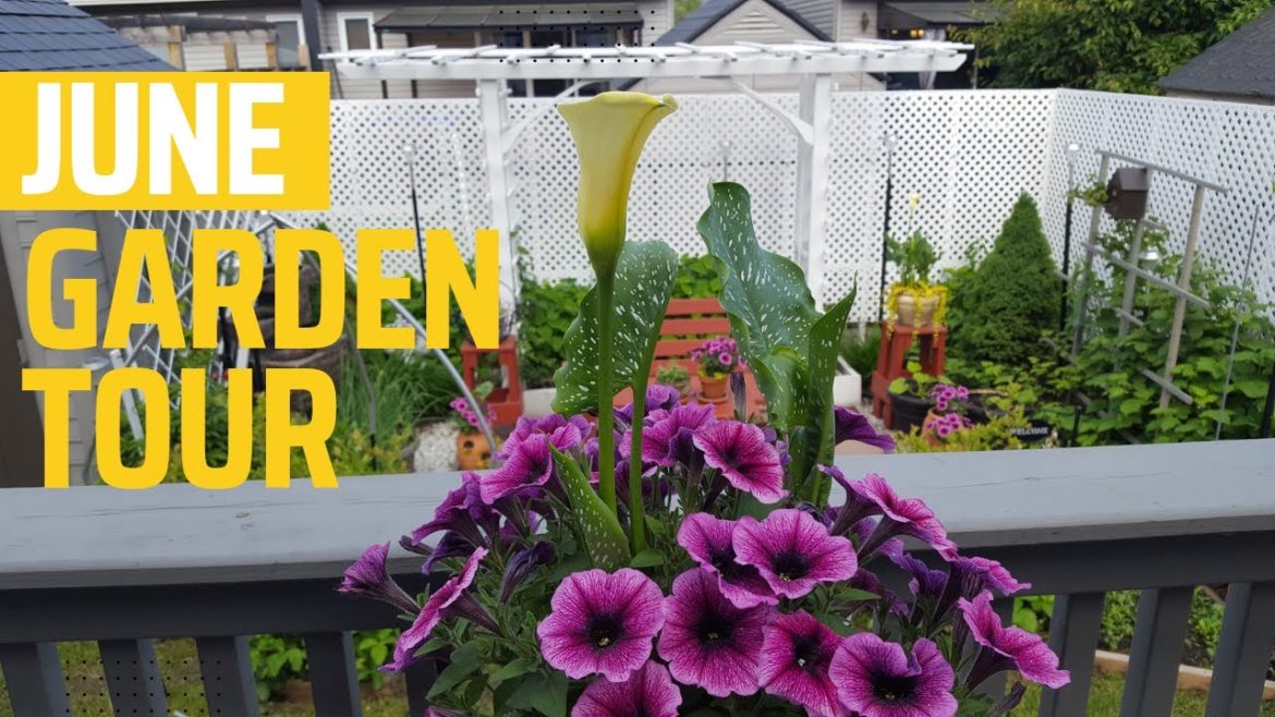 WelcomeTo Our June Small Backyard GARDEN TOUR | Zone 5A Canada